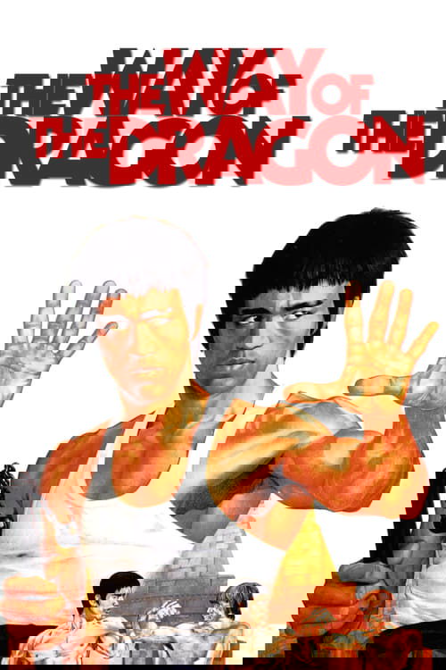 The Way of the Dragon movie poster