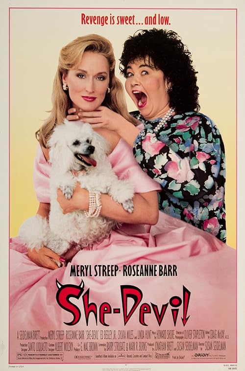 She-Devil movie poster