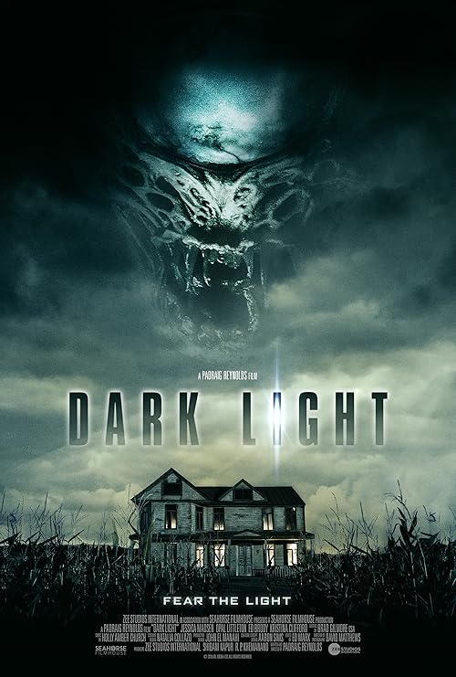 Dark Light movie poster