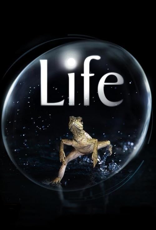 Life movie poster
