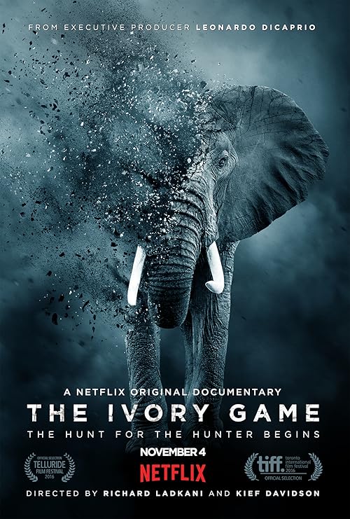 The Ivory Game movie poster
