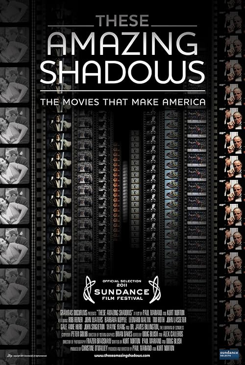 These Amazing Shadows movie poster