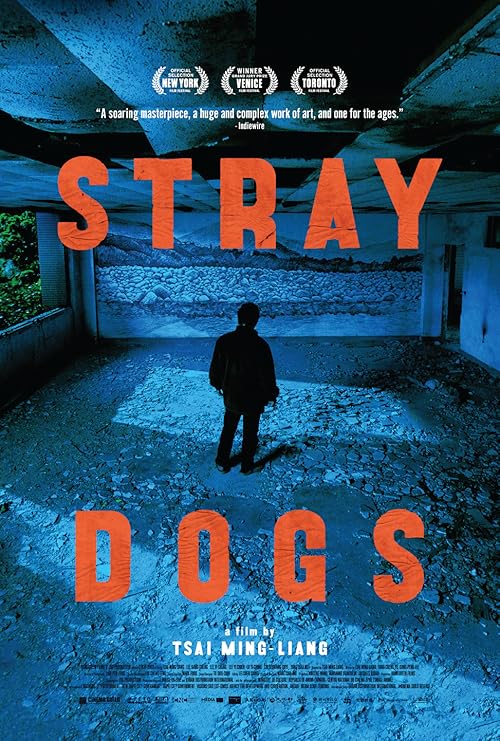 Stray Dogs movie poster