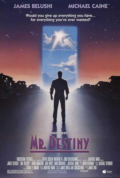 Mr. Destiny movie poster