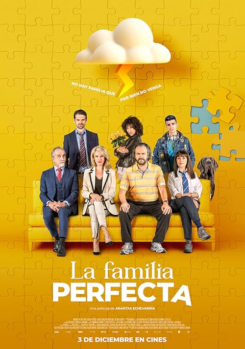 The Perfect Family movie poster