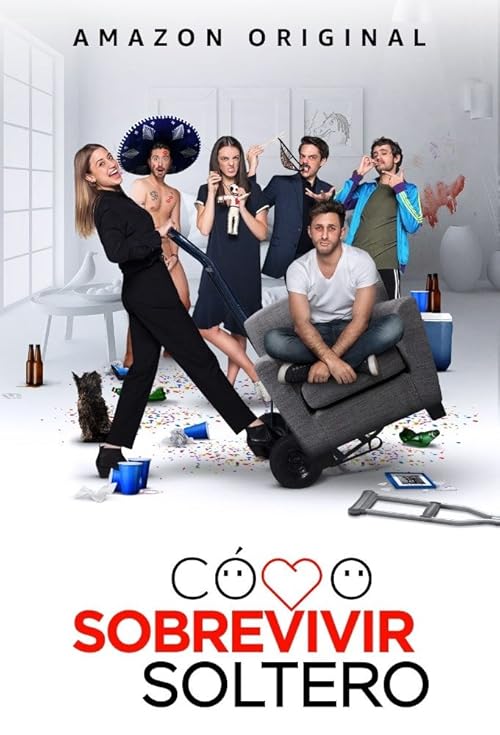 How to Survive Being Single movie poster