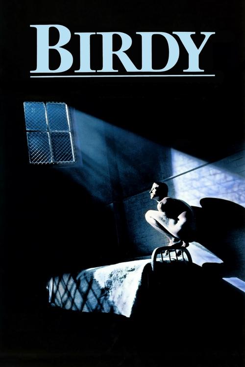 Birdy movie poster