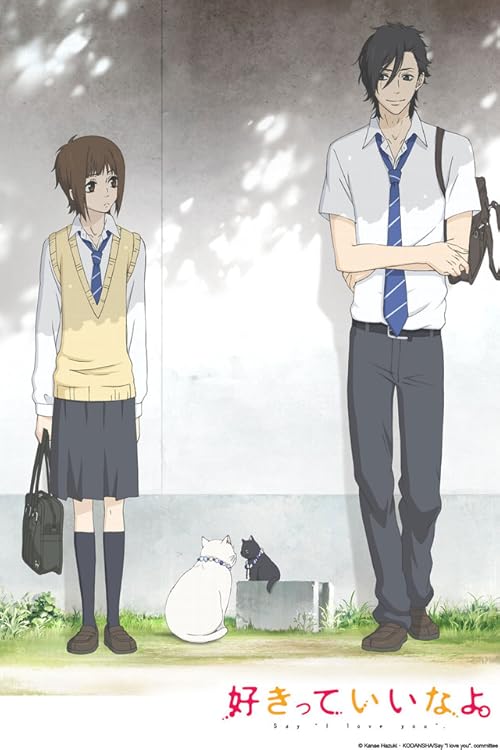 Say &quot;I love you&quot; movie poster