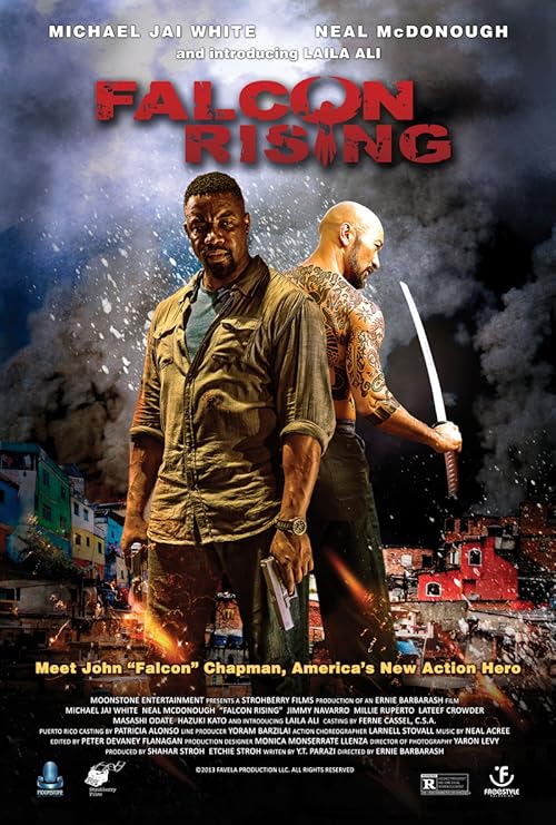 Falcon Rising movie poster