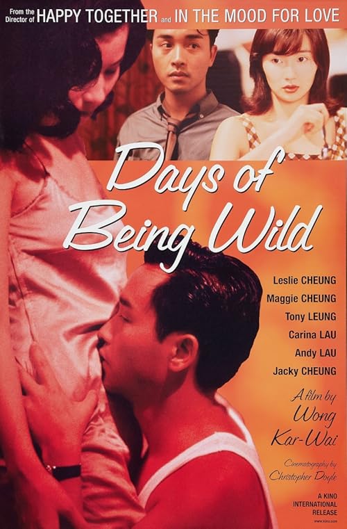 Days of Being Wild movie poster