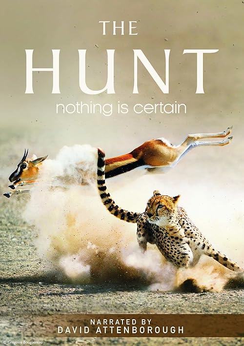 The Hunt movie poster