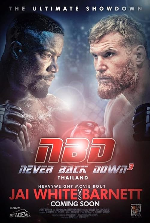 Never Back Down: No Surrender movie poster