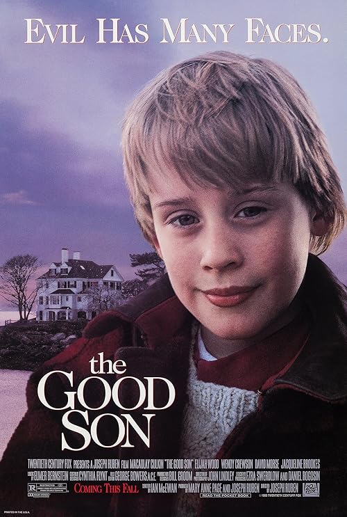 The Good Son movie poster