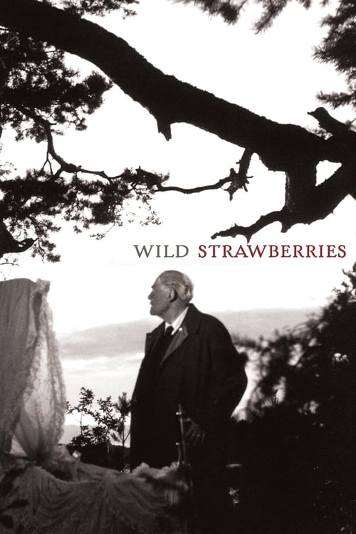 Wild Strawberries movie poster