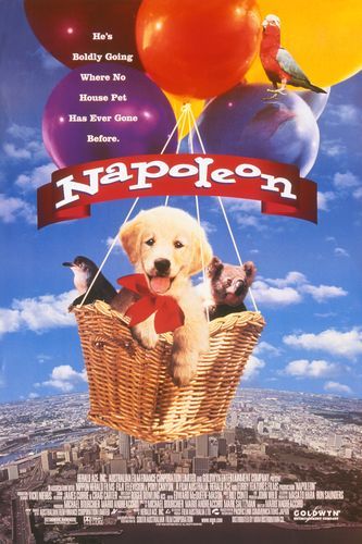 Napoleon movie poster