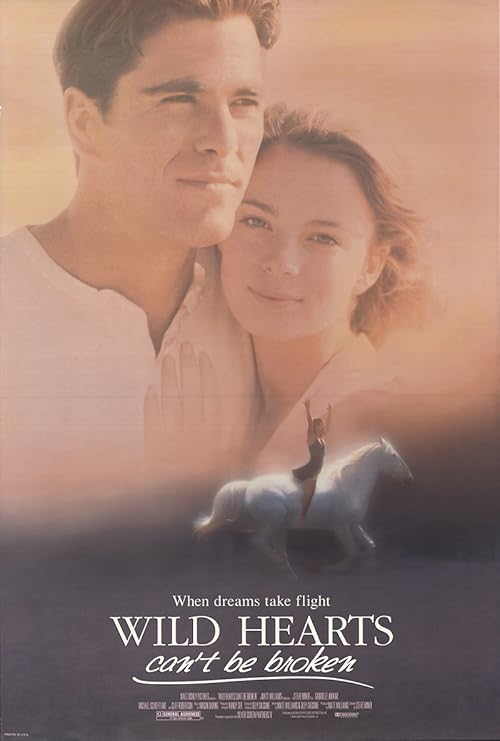 Wild Hearts Can't Be Broken movie poster
